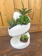Load image into Gallery viewer, Succulent Plant Holder