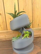 Load image into Gallery viewer, Succulent Plant Holder