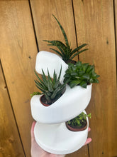 Load image into Gallery viewer, Succulent Plant Holder