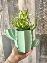 Load image into Gallery viewer, Sage Green Tall Cactus Plant Pot