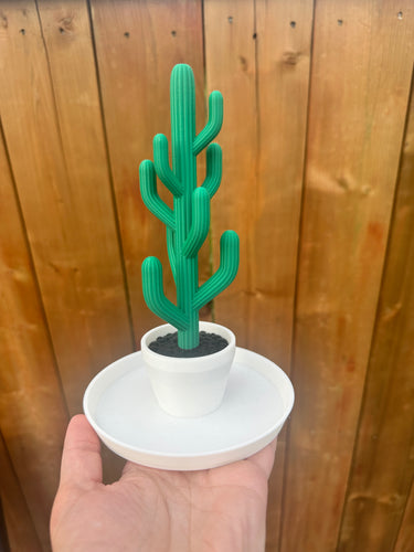 Cactus Jewelry Stand